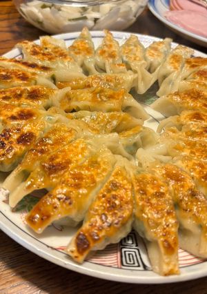 鶏ひき肉の餃子-レシピのメイン写真