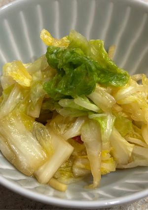 白菜の浅漬け（生姜入り）-レシピのメイン写真