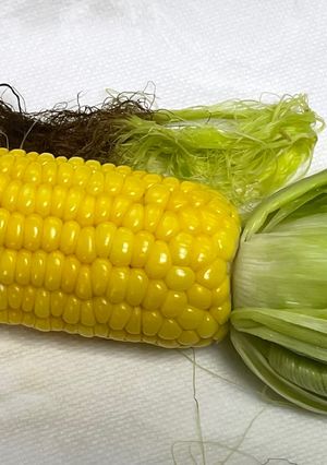 超ズボラで最高に美味な蒸しとうもろこし🌽-レシピのメイン写真