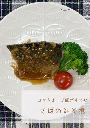 さばのみそ煮-レシピのメイン写真
