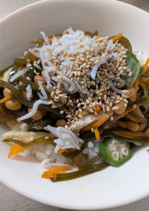 ネバネバ納豆丼-レシピのメイン写真