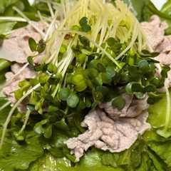 รูปของ 安い肉でも臭みが少ない豚冷しゃぶ