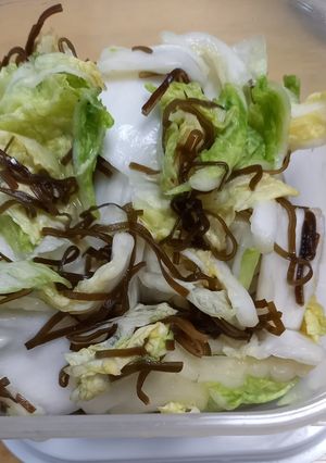 白菜の浅漬-レシピのメイン写真