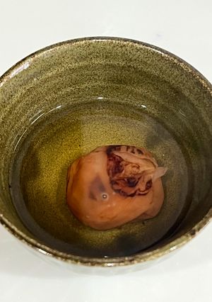 風邪には焼き梅干し！-レシピのメイン写真