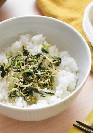 節約！栄養！大根の葉としらすのふりかけ-レシピのメイン写真