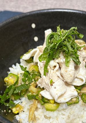 豚しゃぶとオクラのさっぱり薬味丼-レシピのメイン写真
