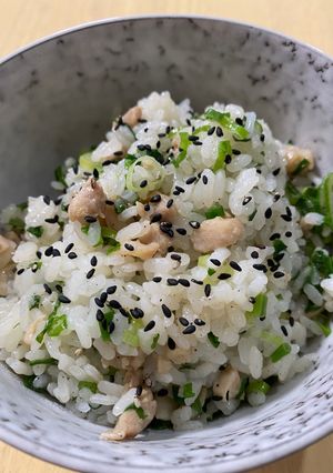 簡単！鷄とねぎの混ぜめし-レシピのメイン写真