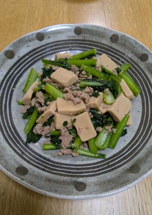 豚ひき肉と凍り豆腐の中国風炒め煮-レシピのメイン写真