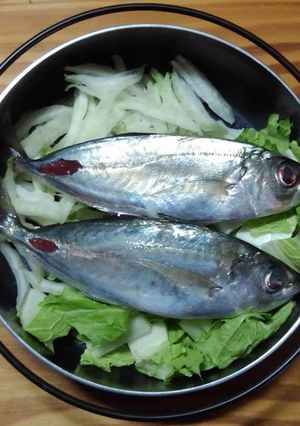 真アジと白菜の煮つけ-レシピのメイン写真