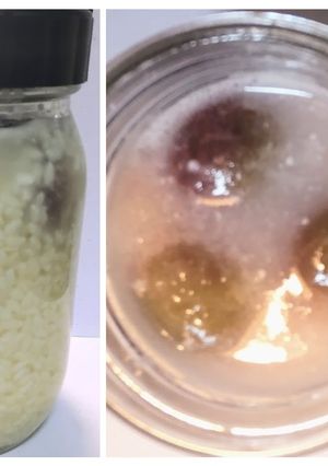 青梅塩麹の作り方　訳ありの梅でも-レシピのメイン写真