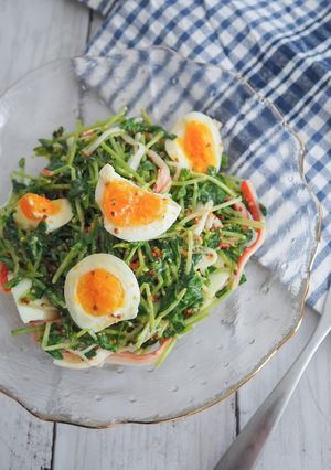 豆苗のデリ風サラダ-レシピのメイン写真