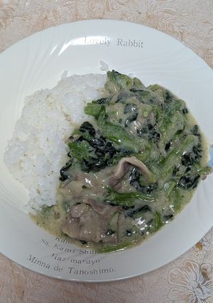 簡単★牛肉とほうれん草のシチュー-レシピのメイン写真