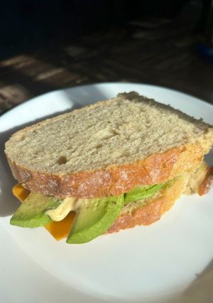 アボカドとチェダーチーズのサンド-レシピのメイン写真