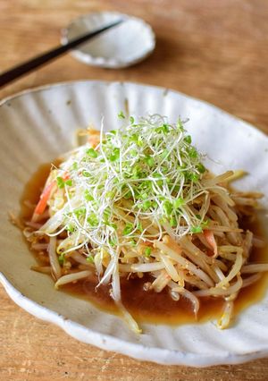 ３分で！もやしとカニカマの中華サラダ-レシピのメイン写真