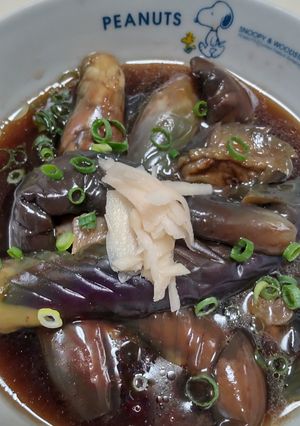 冷凍保存も出来る！揚げ無い煮浸し♪-レシピのメイン写真