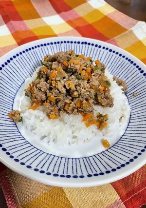 時短レシピ☆ずぼらレンチン肉みそ丼-レシピのメイン写真