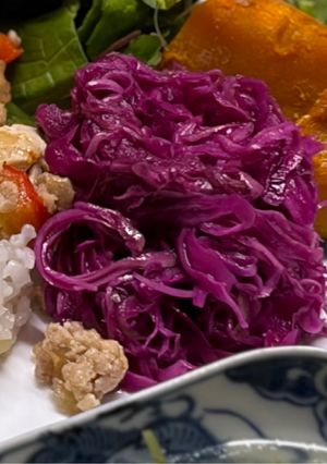 塩麹で作る紫キャベツラペ-レシピのメイン写真