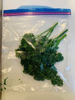 【保存】パセリは茎ごと冷凍ストックが便利-レシピのメイン写真