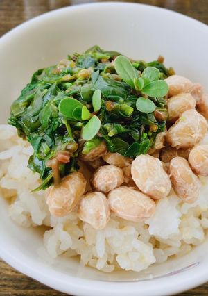 スベリヒユ納豆-レシピのメイン写真
