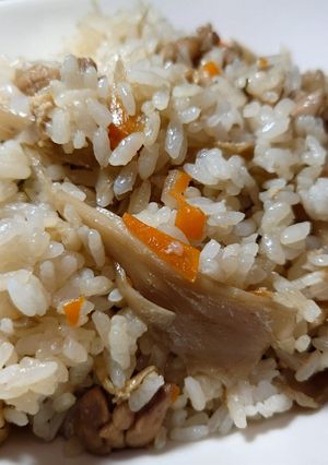 お米ツヤツヤ💫鶏ごぼう味ご飯-レシピのメイン写真