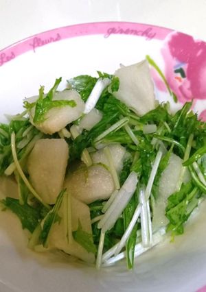 水菜と梨の塩こうじサラダ-レシピのメイン写真