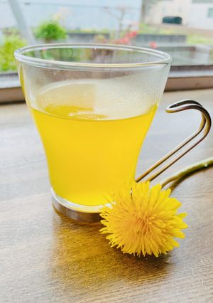 たんぽぽ蜜コーディアル-レシピのメイン写真
