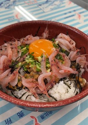 生桜えびと納豆のスタミナ丼-レシピのメイン写真