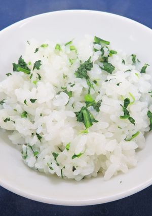 青菜ごはん-レシピのメイン写真