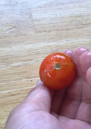 ミニトマトの皮の剥き方-レシピのメイン写真