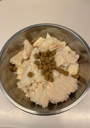 犬用 作りおき超低脂肪食-レシピのメイン写真