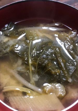 新玉ねぎの葉と小松菜のお味噌汁-レシピのメイン写真
