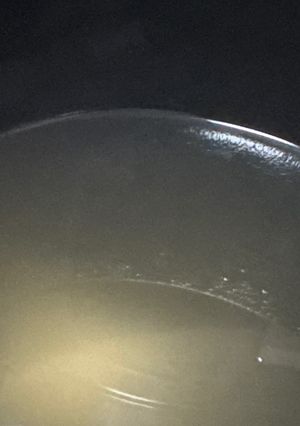 【超ズボラ】夜食用具なし鶏ガラスープ-レシピのメイン写真
