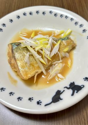 ✨さば味噌煮✨-レシピのメイン写真