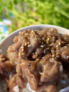 ご飯がススム☆豚バラの焼き豚丼☆簡単☆-レシピのメイン写真