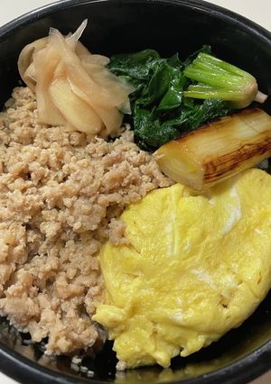 【お手軽】三色鶏そぼろ丼-レシピのメイン写真