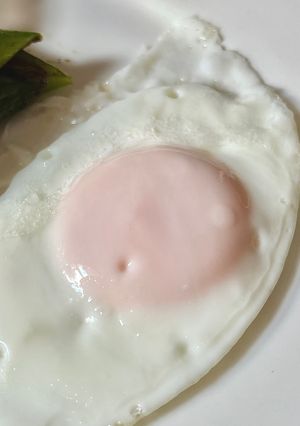 目玉焼き-レシピのメイン写真