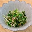 かいわれおかかでデトックス‼︎