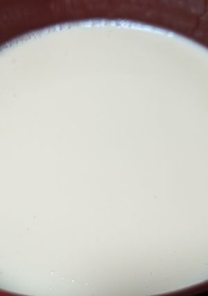 ソイリッチで豆乳で酒粕甘酒-レシピのメイン写真
