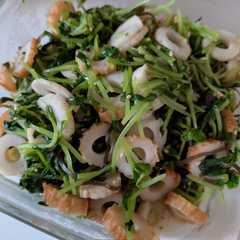 รูปของ 豆苗とちくわのナムル風