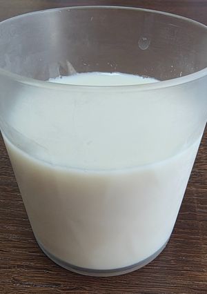 牛乳プリン-レシピのメイン写真
