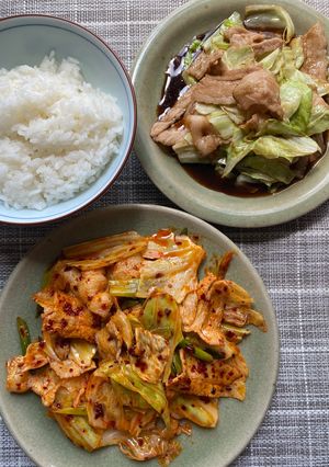 ご飯にはこれ！2種の回鍋肉-レシピのメイン写真