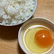 卵かけごはん(味の素)
