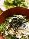 美味しいしらす丼　しらす丼に合うたれ