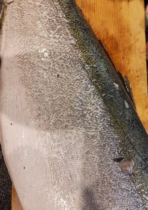 鰤1本をおろして各種素材へ-レシピのメイン写真