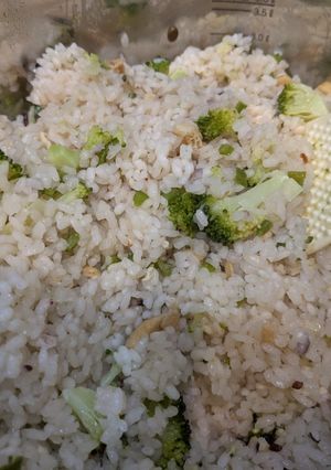 【ごはん1】ブロッコリーの炊き込みご飯-レシピのメイン写真