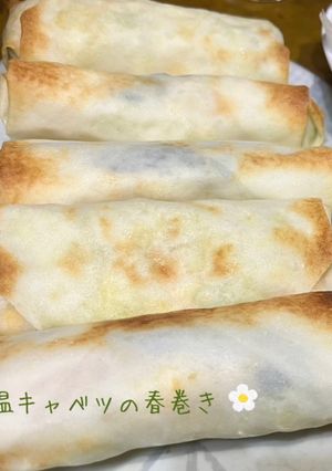 温キャベツの春巻き-レシピのメイン写真