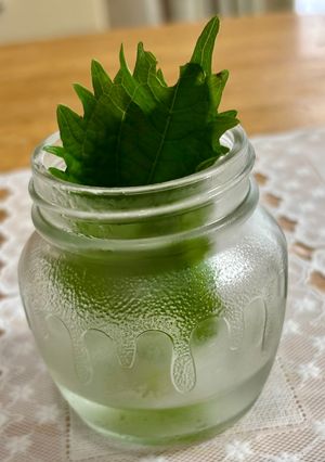 大葉の保存方法♪-レシピのメイン写真