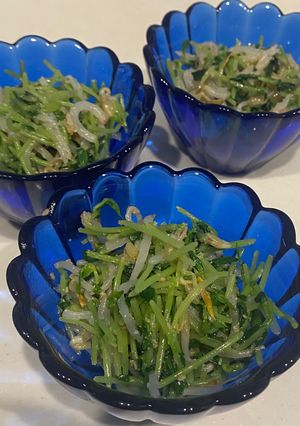 豆苗ともやしのごま和え-レシピのメイン写真