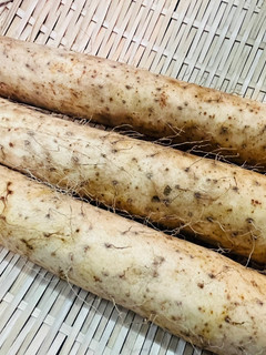 長芋の冷蔵・冷凍保存法-レシピのメイン写真