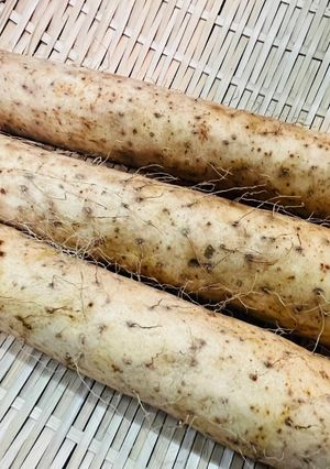長芋の冷蔵・冷凍保存法-レシピのメイン写真